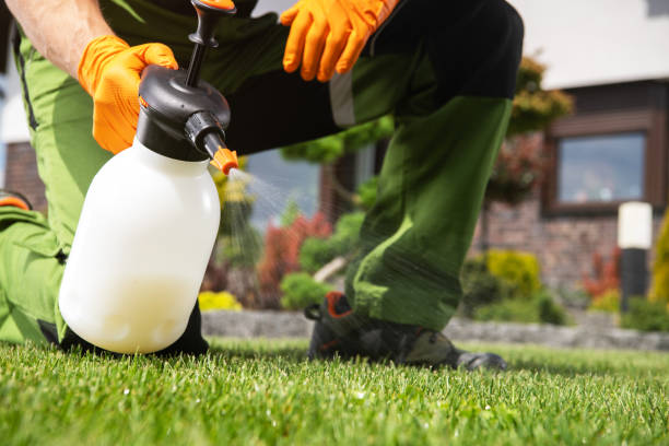 Professional Pest Control in Shenandoah Junction, WV