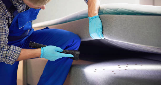 Trusted Shenandoah Junction, WV Pest Control Experts